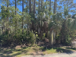 Lot 11 S Palm St, Cape San Blas, FL 32456