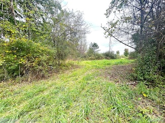 11 Sullivan Rd, Emmett, MI 48022