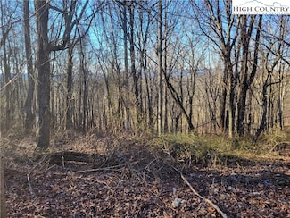 19 Terra Vista Dr, Laurel Springs, NC 28644