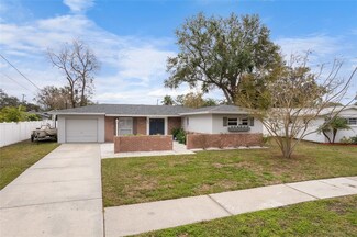 8404 Stillbrook Ave, Tampa, FL 33615