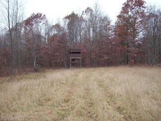 0 N Larson Rd, Free Soil, MI 49411