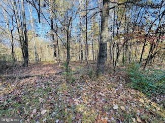 0 Beaver Rd Unit VASH2009996, Basye, VA 22810