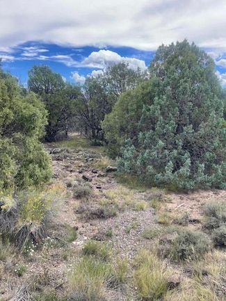 1091 S Old Us Hwy 89, Hatch, UT 84735