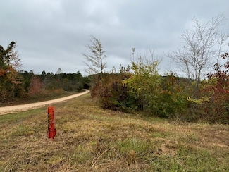 0 Stevens Rd, Hamilton, AL 35570