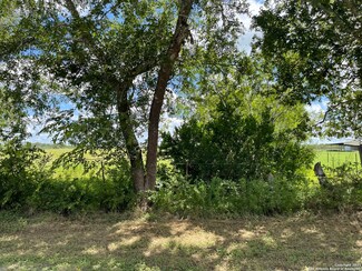 15 Cr 412, Stockdale, TX 78160