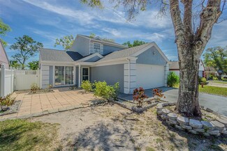 8335 Paddlewheel St, Tampa, FL 33637
