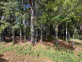 3641 Davis Academy Rd, Madison, GA 30650
