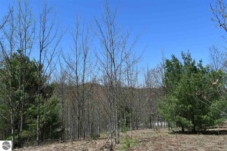 00 S Kasben Rd, Cedar, MI 49621