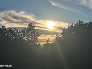 lot 33 Ridgeview Unit 33, Vernon, AZ 85940