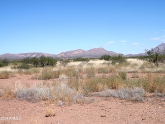 TBD E Cll Francisco Unit 84, Douglas, AZ 85607