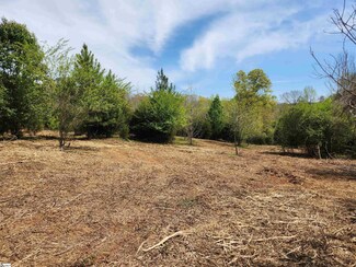 2196 Stewart Dairy Rd, Fountain Inn, SC 29644