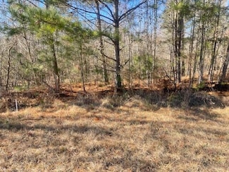 LOT 8 Black Pearl Dr, Warrenton, GA 30828