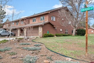 333 Pine Ridge Loop Unit 4, Durango, CO 81301