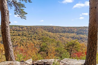 0 Crockett Pointe Unit 1523440, Jasper, TN 37347