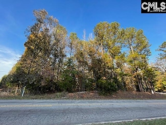 1620 Washington Lever Rd, Little Mountain, SC 29075