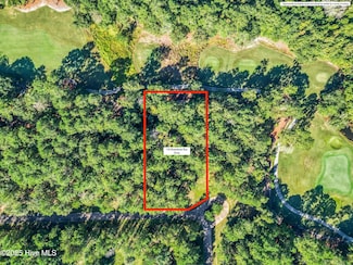 118 Riverstone Run Dr, Wallace, NC 28466