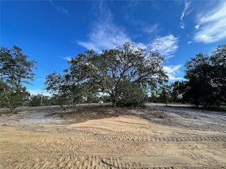 000 NE 100th Terrace, Bronson, FL 32621