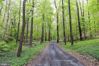 0 Hillside Rd, Luthvle Timon, MD 21093