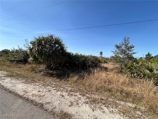 6007 Hanna Ave N, Lehigh Acres, FL 33971