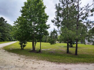 186 Neely Ln, Currie, NC 28435