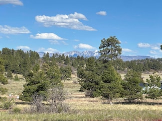 748 Trails Blvd, Pagosa Springs, CO 81147