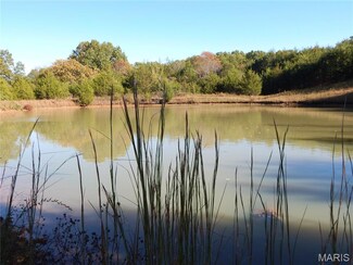 173 Hickory Grove Rd, Bismarck, MO 63624
