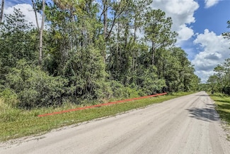 2128 Orange St, Bunnell, FL 32110