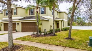8609 Fiddleleaf Ct, Tampa, FL 33647