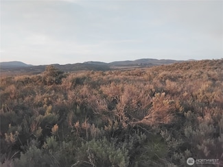 0 Paradise Point Rd Unit NWM2455797, Tonasket, WA 98855