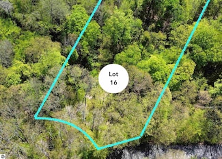 Lot 16 S Club Dr, Cleveland Township, MI 49621