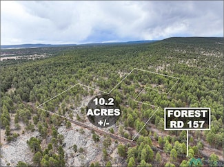 LOT 25A Forest 157 Rd, McGaffey, NM 87316