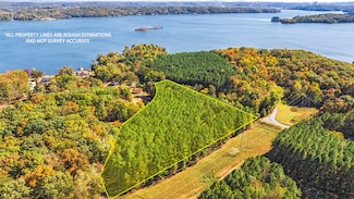 4.9 Acres Juniper Ct, Spring City, TN 37381