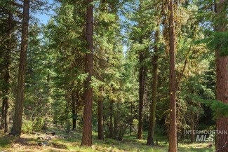 140 Little Donner Dr, Cascade, ID 83611