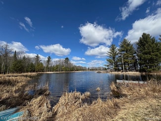 0000 Hardacre Trail, Roscommon Township, MI 48629