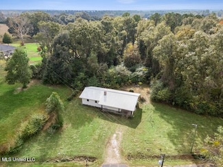 20228 Lewis Ln, Picayune, MS 39466