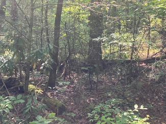 .7 Copper Creek Rd, Murphy, NC 28906