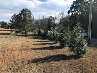 16697 N Star Cir, Sale Creek, TN 37373