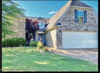 8250 Morning Sun Cove, Walls, MS 38680