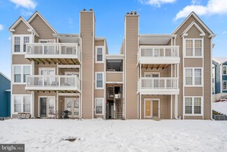 6410 Green Field Rd Unit 1002, Elkridge, MD 21075