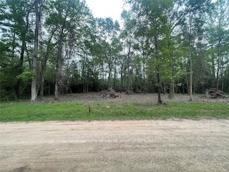 0 Eastridge Rd, Goodrich, TX 77335