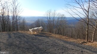 Lot 256 S Branch Mountain Rd, Moorefield, WV 26836