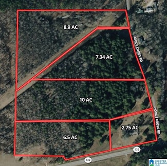 3701 Alabama 132, Oneonta, AL 35121