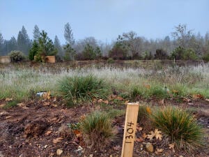 1304 Green Valley Dr, Cave Junction, OR 97523