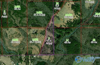 3124 County Road 6, Collinsville, AL 35961