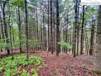 TBD Daniel Pierce Rd, West Jefferson, NC 28694