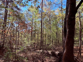 977 Whooping Creek Rd, Carrollton, GA 30116