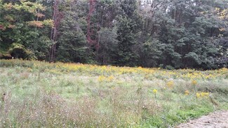 0 Southard Rd, Ira, NY 13033