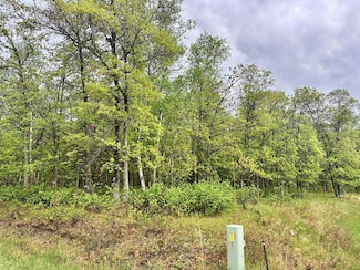 TBD Lot 3 204th St, Park Rapids, MN 56470