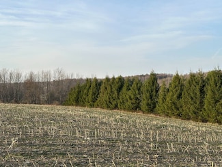 Lot 4 Mud Run Rd, Tuscarora, NY 14801