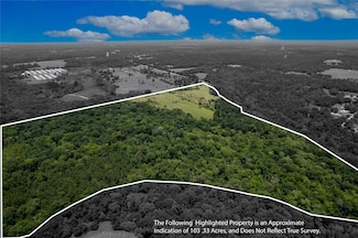 TBD U S 84, Palestine, TX 75801